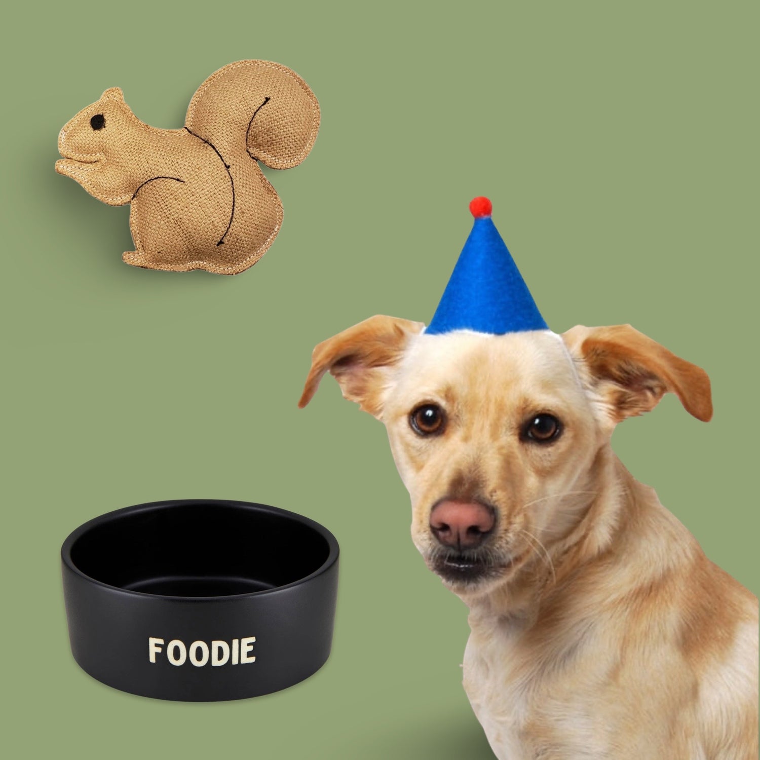 Pets