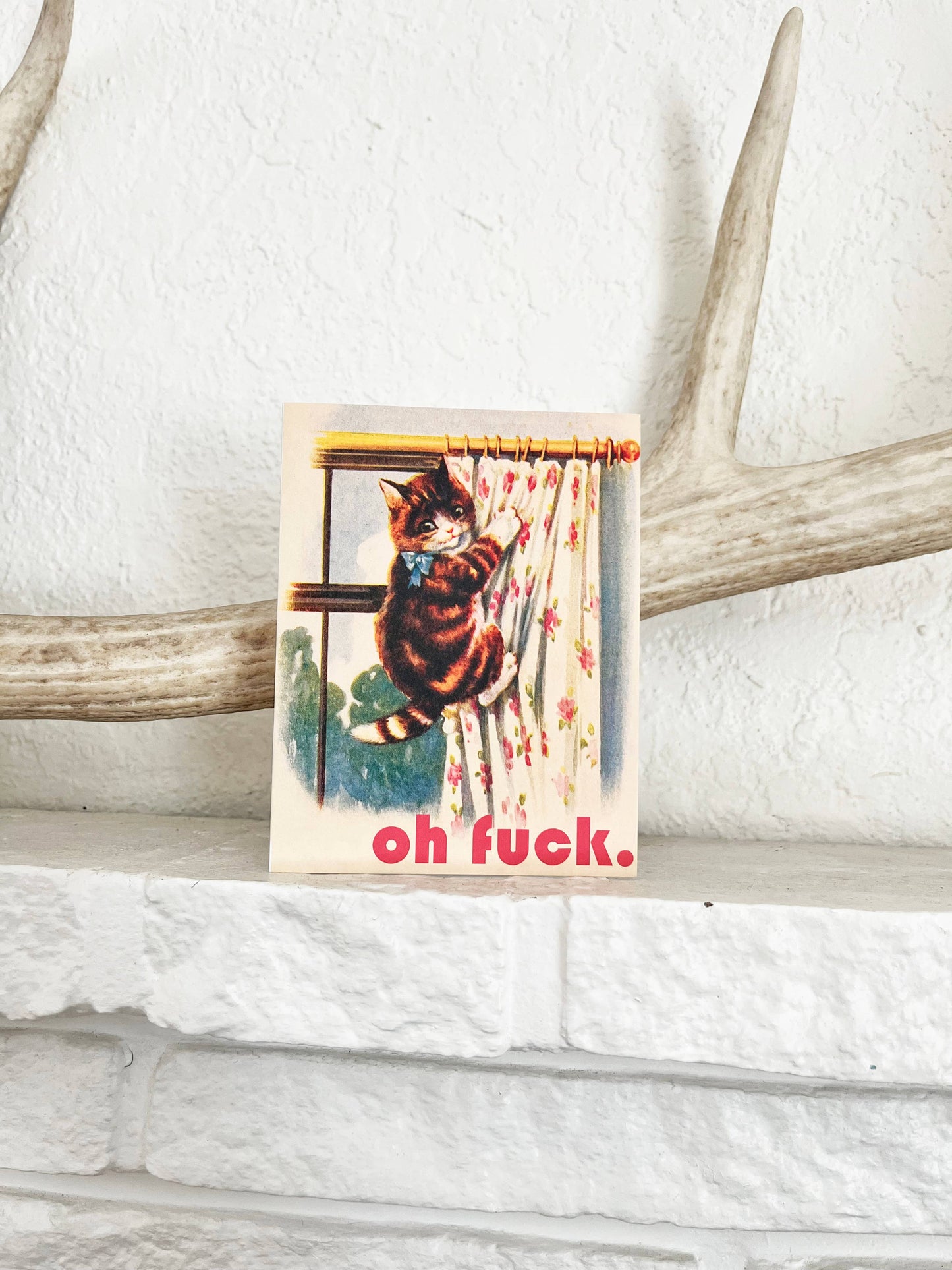 Oh Fuck Kitty Funny Card