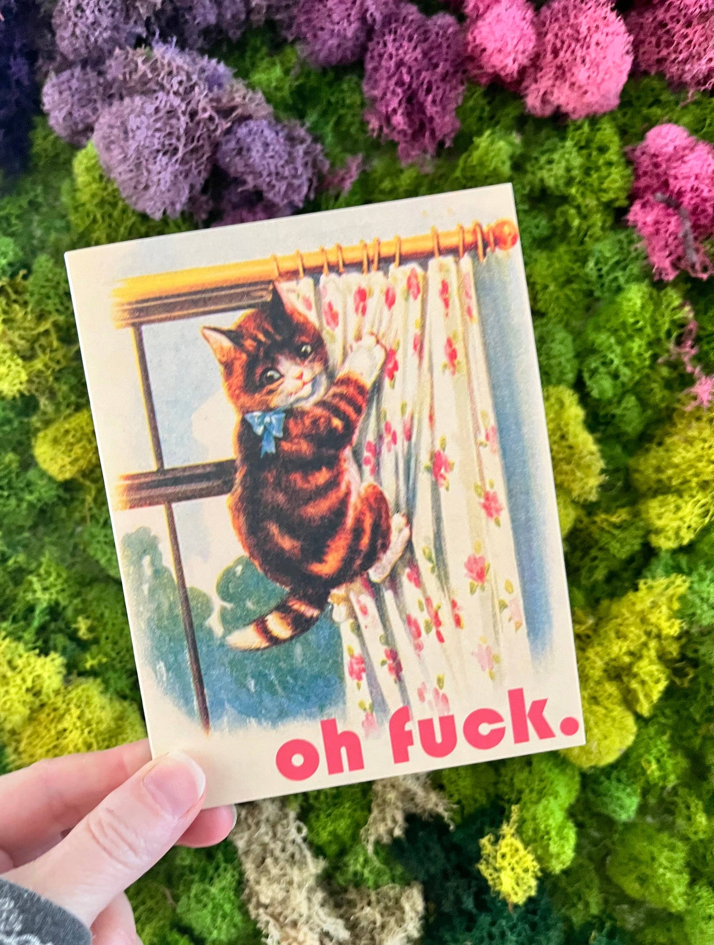 Oh Fuck Kitty Funny Card