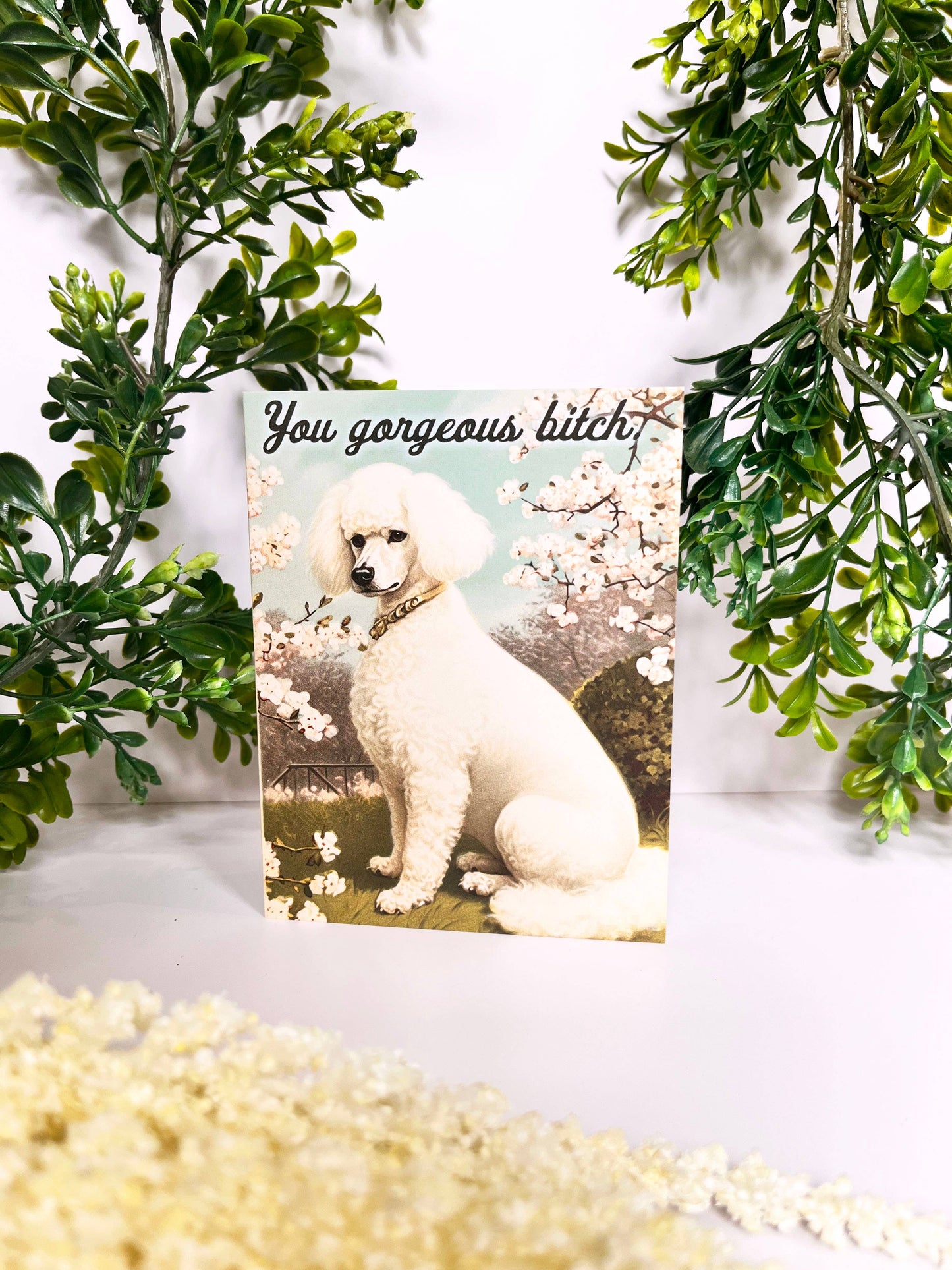 You Gorgeous Bitch Funny Dog Card - Encouragement Love