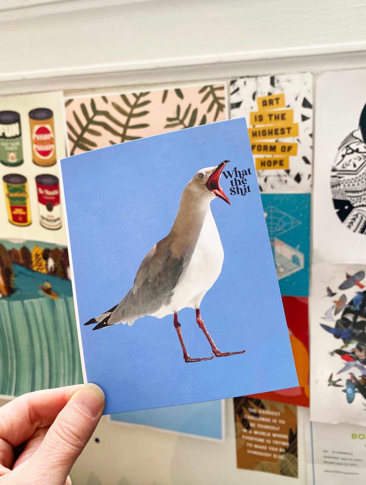 What the Shit Funny Seagull Greeting Card