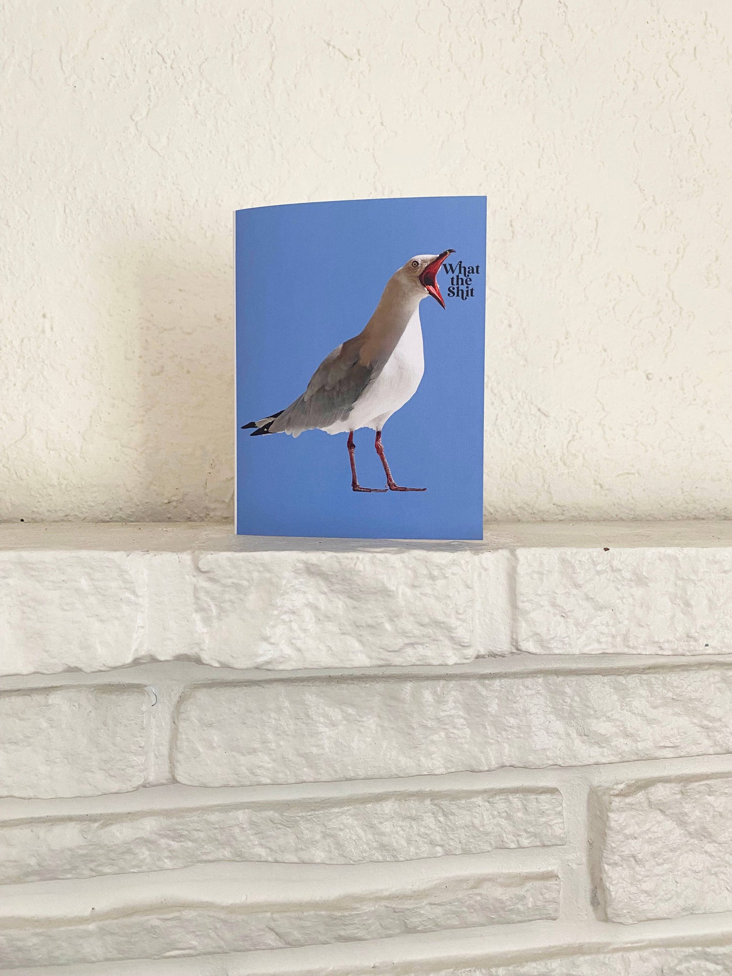 What the Shit Funny Seagull Greeting Card