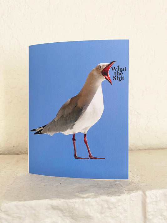 What the Shit Funny Seagull Greeting Card