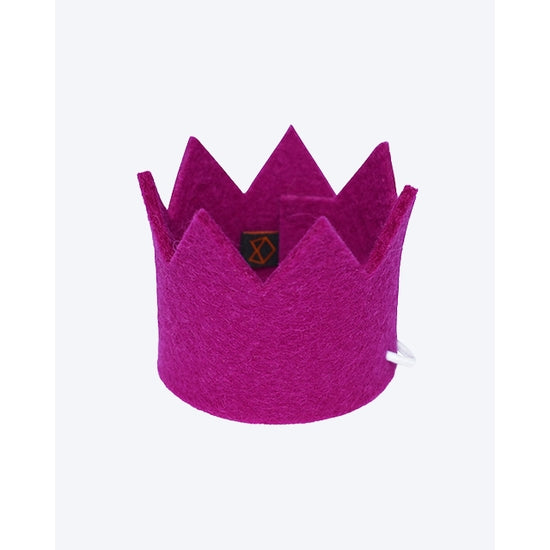 PARTY BEAST CROWN - Pet Birthday Crown