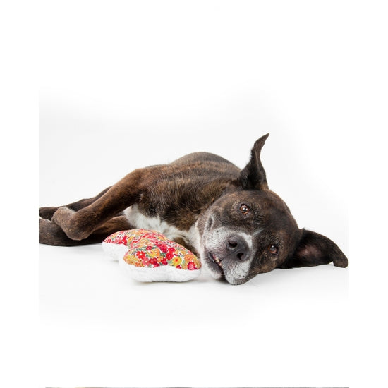 LAVENDER ZENBONE - Dog Toy