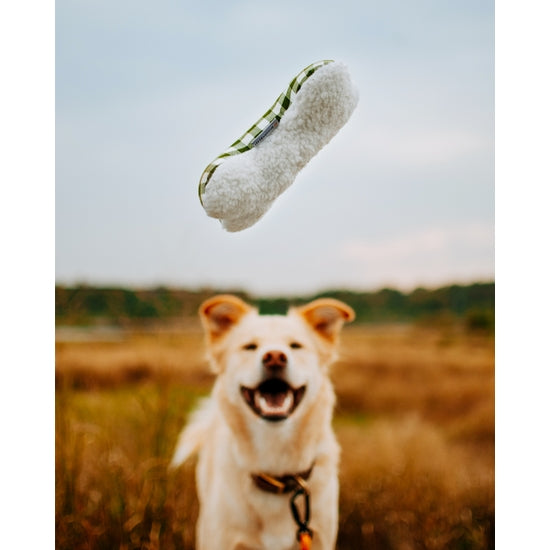 Lavender ZENBONE - Dog Toy