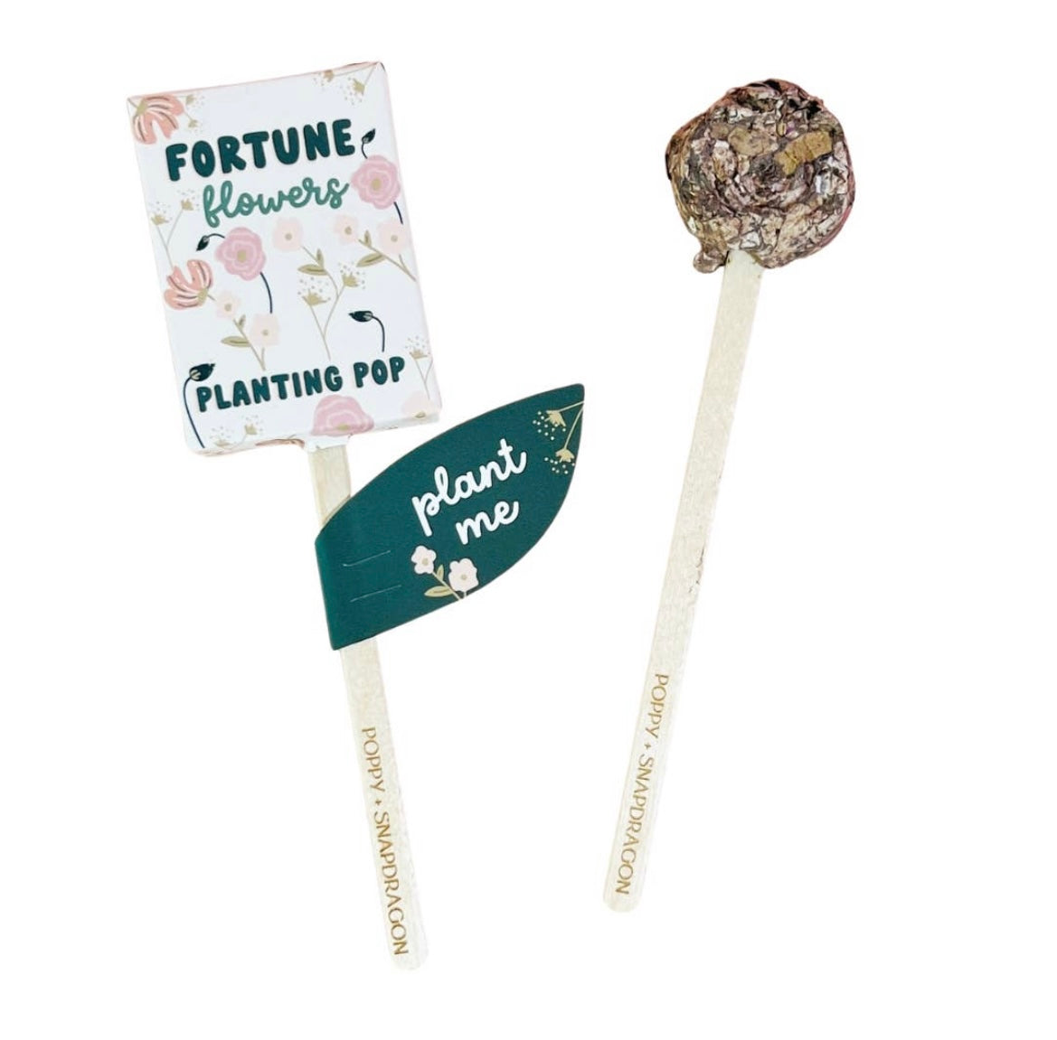 Friendship, Fortune and Love - Seed Planting Pops