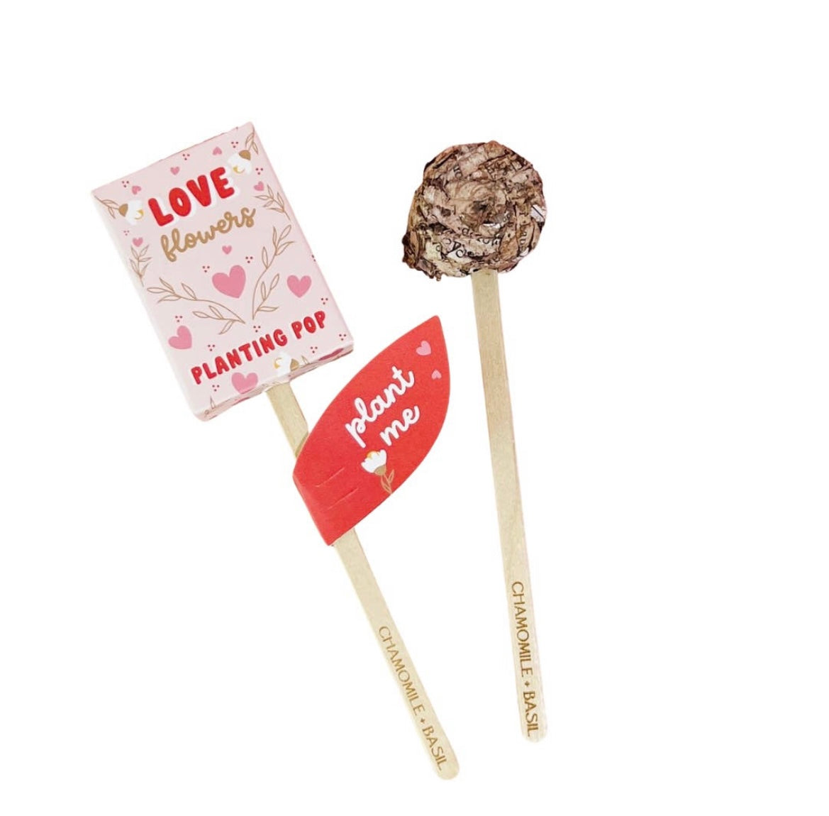 Friendship, Fortune and Love - Seed Planting Pops