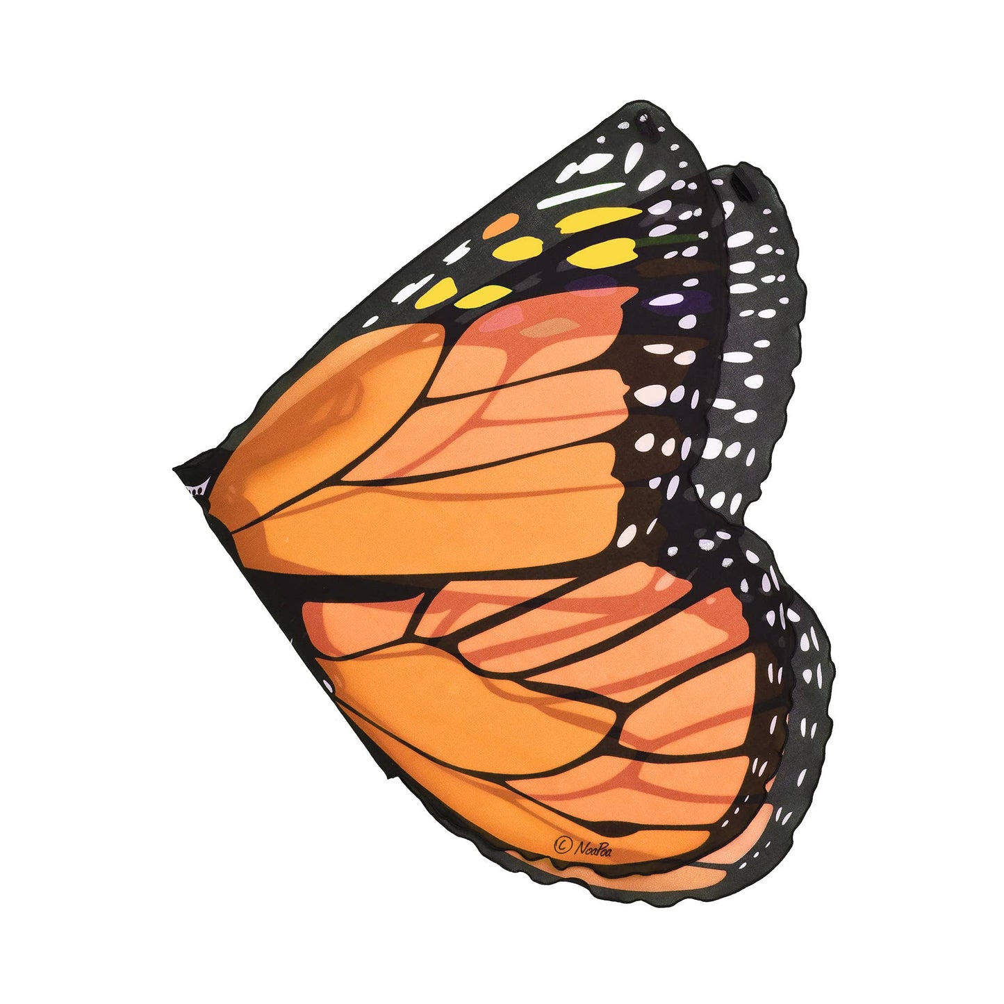 Monarch Butterfly Wings in Eco-friendly Gift Bag