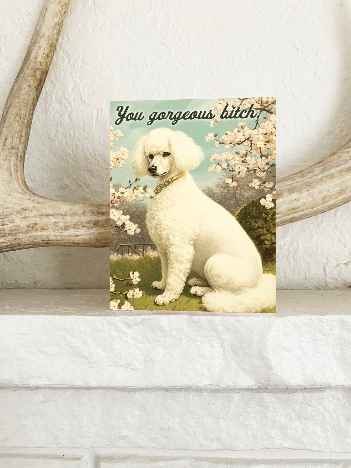 You Gorgeous Bitch Funny Dog Card - Encouragement Love