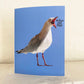 What the Shit Funny Seagull Greeting Card