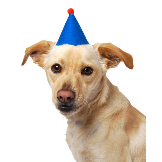 PAWTY HAT - Pet Birthday Hat
